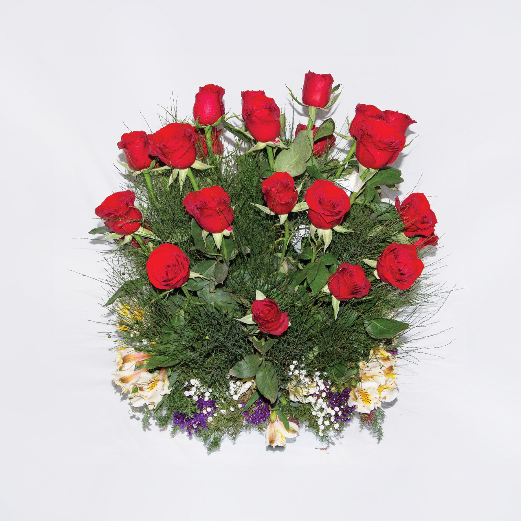 Rosas Rojas Base Blanca