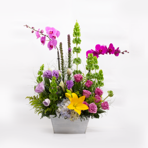 Arreglo Orquídeas Rosas y Fiucsia
