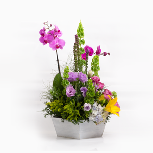 Arreglo Orquídeas Rosas y Fiucsia