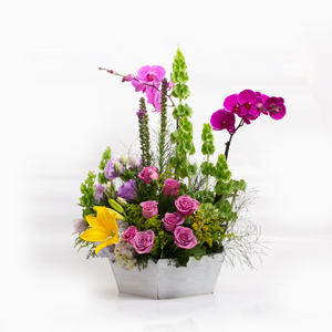Arreglo Orquídeas Rosas y Fiucsia