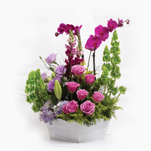 Arreglo Orquídeas Fiucsia y Vino
