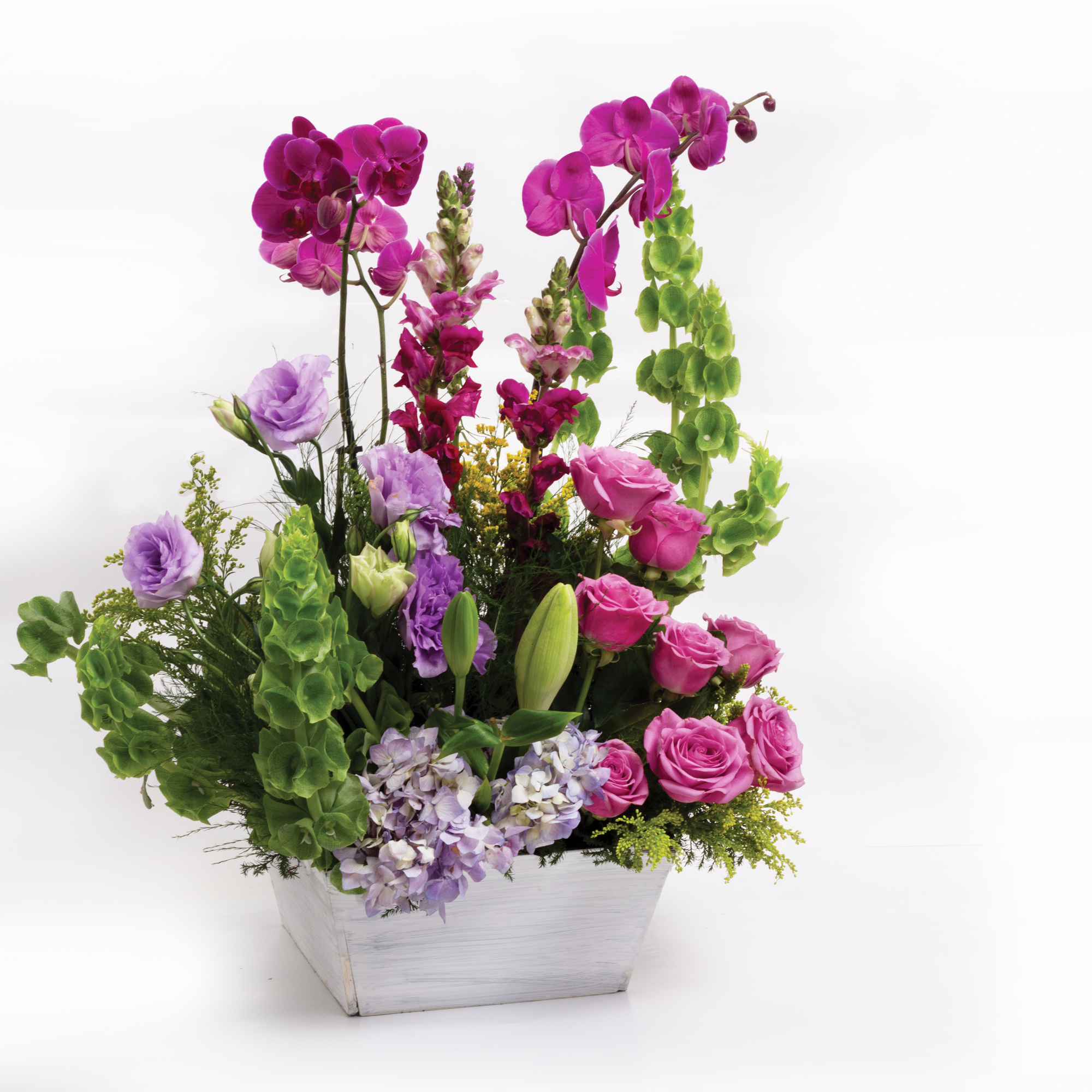 Arreglo Orquídeas Fiucsia y Vino