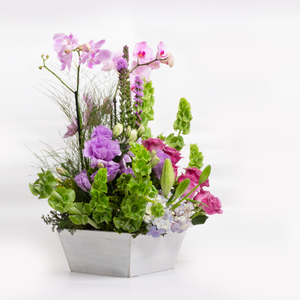 Arreglo Orquídeas Rosas