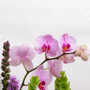 Arreglo Orquídeas Rosas