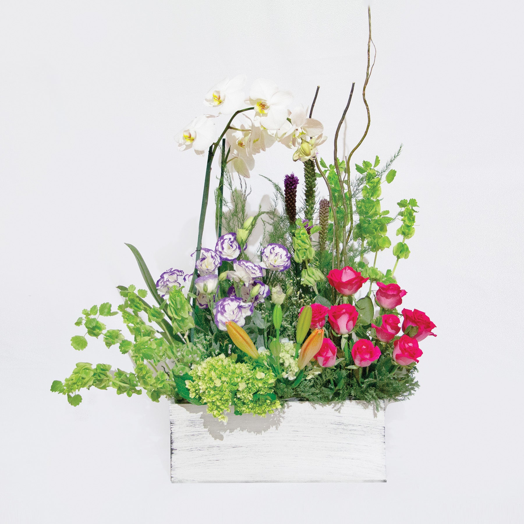 Arreglo Orquídeas Blancas