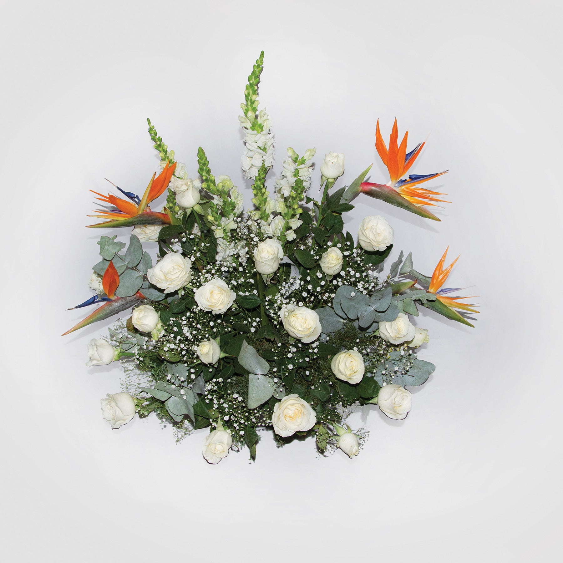 Arreglo Rosas Blancas y Ave del Paraíso